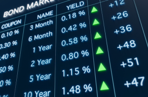 Navigating Interest Rate Cycles: Strategies for Debt Investors in 2025
